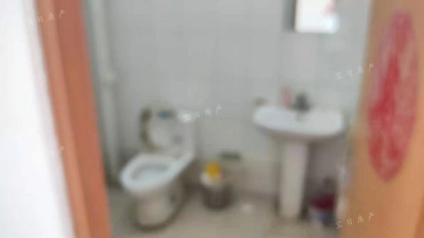 大成清华园 简装